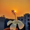 Suy Ngẫm Cuộc Sống