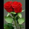 user4953309208708