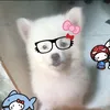 emxinhsayhai2