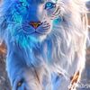 dedi.asra67