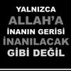 _313_meshedi_xanin_