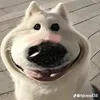 ntnh831