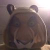 lionman498