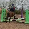 hm_horse_power