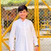 gujjarisbrand788