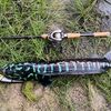 ir.angler