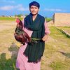 bhadur.ali548