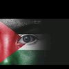 user3102505176102