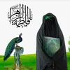 hjjz_0613