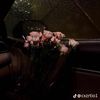 tala55985