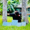 ayan_ahmed_337