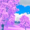 user9086682532637