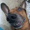 luiz09709