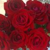 daniel.oyando5
