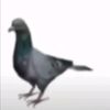 user3085212059396