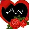 safy.ahmed53