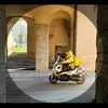 riccio_official