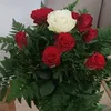 ankarali695