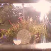 sunlightsoaked