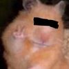 _pqop