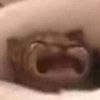 lilith4784