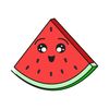 water_melon849