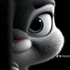 fredrickkihiu575