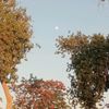 sama.mohsen75