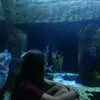 viktoriia_k860