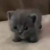 almluvs.0