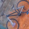 kingofbicycl