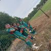tadeo_lopez182