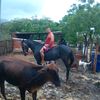 darwin.rodriguez291