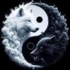 user1202799018812