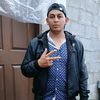 allan.artica