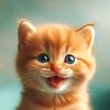 MeowMongs