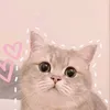 vvvvvvvvvvvv342