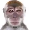 98_ssss3