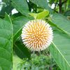prthonasarkar