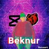 beknur_nafarme