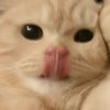 immayour28