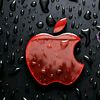 user51036706208262