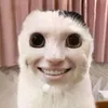 Cúc Ca Cúc Cu