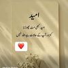 shabir.khan9974