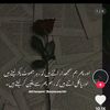 mr.shameer72