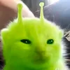 ovlchy_