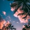 razan.alshoufi