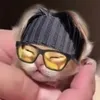 phuocvienbui