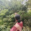 ornisha69