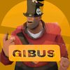 gibus1488
